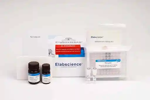 Elabscience metabolism assay kit